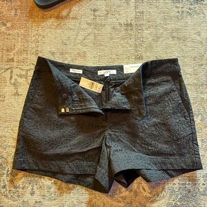 LOFT Black High Waist Textured Shorts